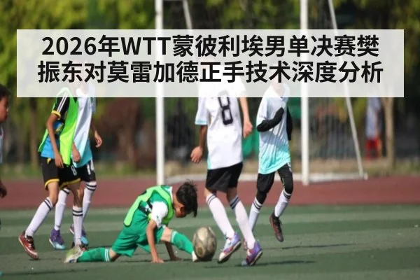 2026年WTT蒙彼利埃男单决赛樊振东对莫雷加德正手技术深度分析
